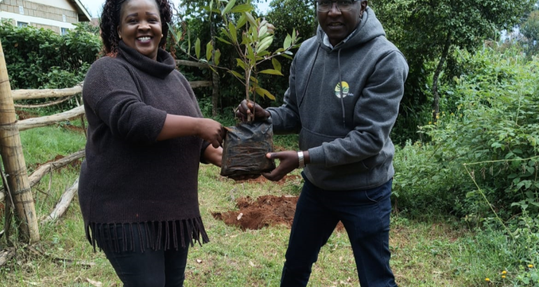 Tree Planting At Makomboki Tea Factory.